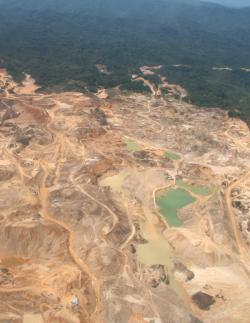 amazon gold mining.jpg